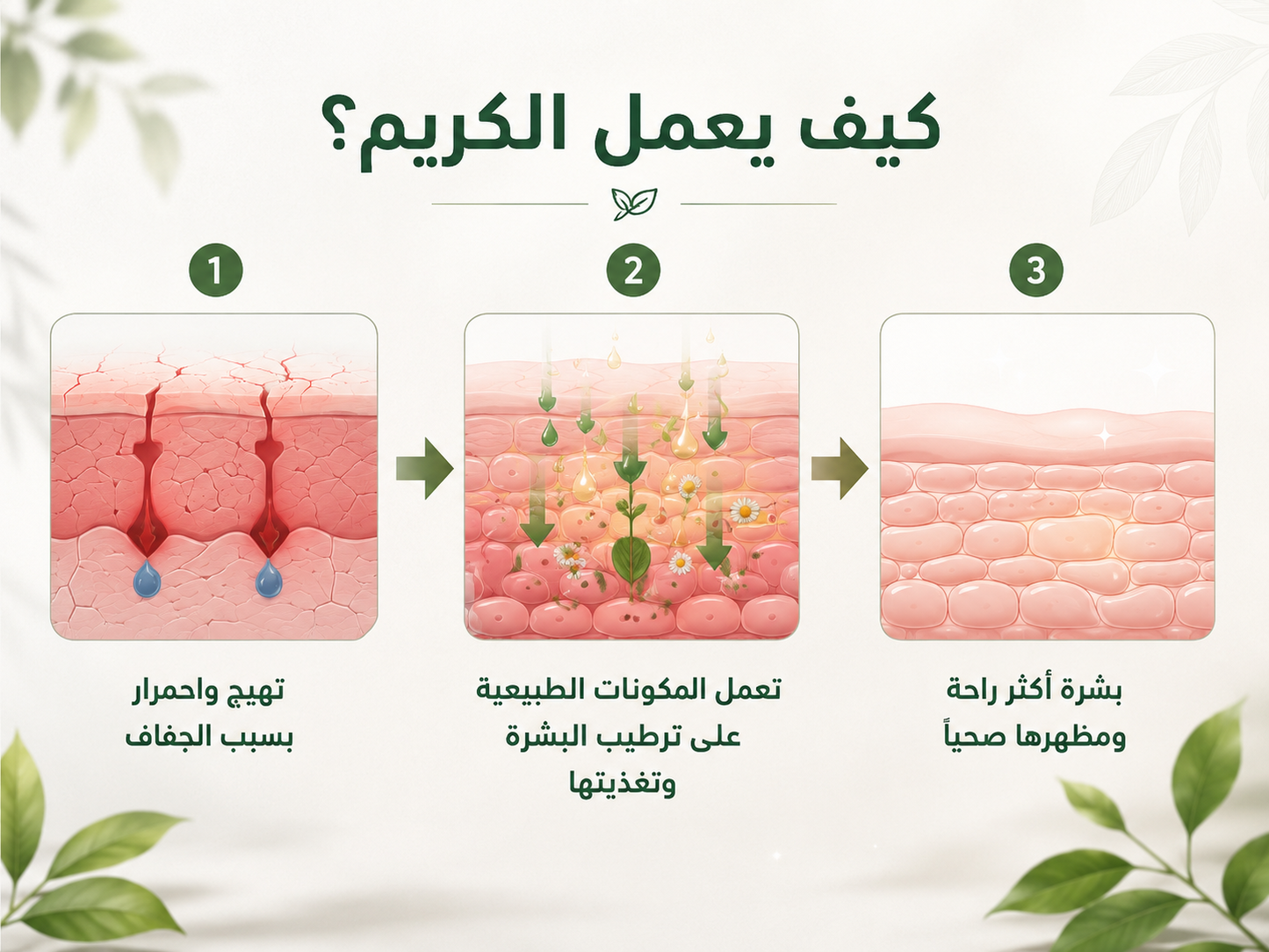 Skin Tinea Care External Cream how it works infographic