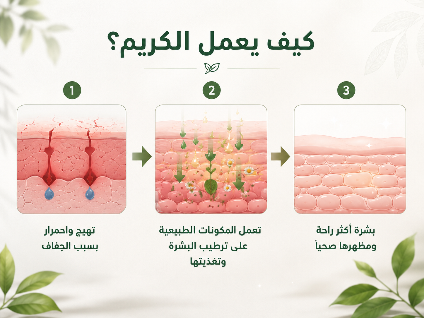 Skin Tinea Care External Cream how it works infographic